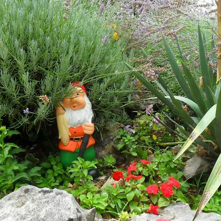 Ogreca Apartament Skradin