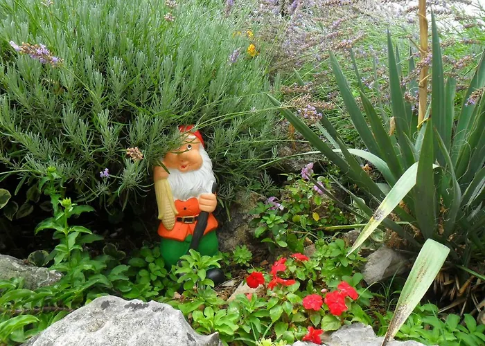 Ogreca דירה סקארדין